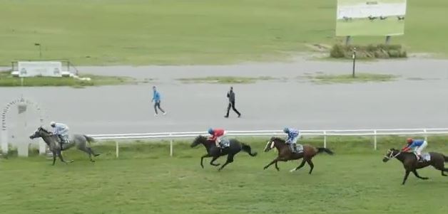 Ippica, Firenze: Oggi 14/10 Risultati Odierno Convegno di&nbsp;Corse