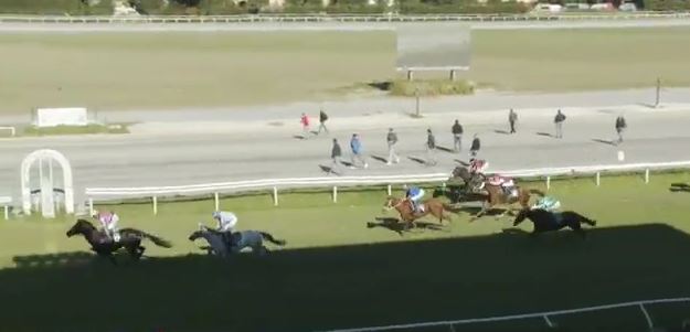 Ippica, Firenze: Oggi 21/10 Risultati Odierno Convegno di&nbsp;Corse