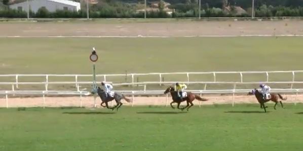 Ippica, Sassari e Varese: Oggi 13/10 Risultati Odierno Convegno di&nbsp;Corse