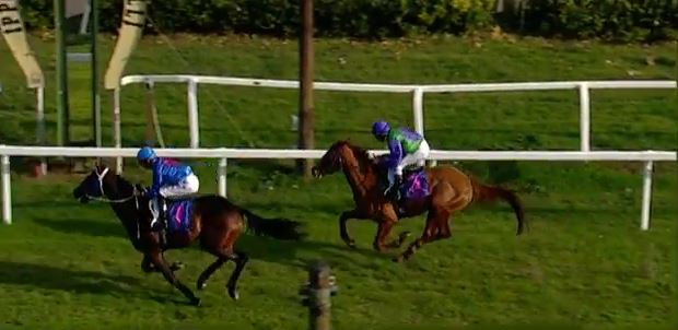 Ippica, Livorno: Oggi 17/11 Corse A.A. Bonmarchè Vince la&nbsp;1^