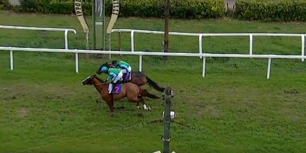 Ippica, Livorno: Oggi 27/11, Corse A.A., Cecco Biondo Vince la&nbsp;1^