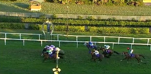 Ippica, Livorno, Napoli e Siracusa: Oggi 11/12 Risultati Odierni Convegni di&nbsp;Corse