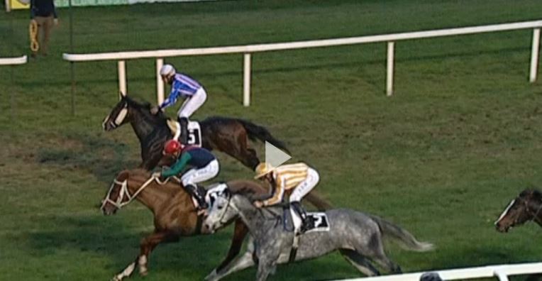 Ippica, Pisa: Oggi 28/11 Corse A.A., Cuore Impavido Vince la 2^, Unico de Aighenta Vince la&nbsp;6^