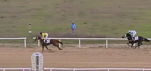 Ippica, Villacidro: Oggi 22/11 Corse A.A., Cara E Istella Vince la 2^,  Carmelino Vince la&nbsp;4^