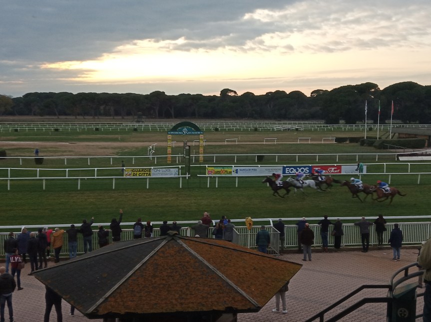 Ippica, Pisa: Oggi 25/11 Risultati Odierno Convegno di&nbsp;Corse