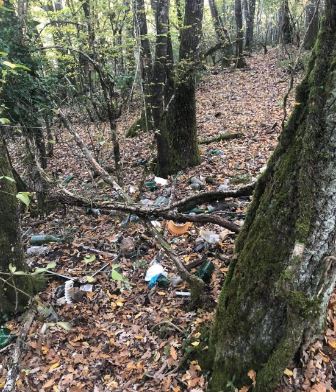 Provincia di Siena: Rifiuti e giochi erotici nel bosco di&nbsp;Lecceto