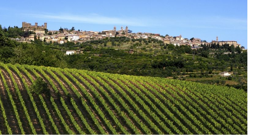 provincia di Siena, I “trenta gloriosi” di Montalcino: Dal 1992 il valore delle vigne è aumentato del&nbsp;2000%