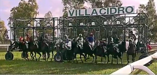Ippica, Villacidro: Domani 08/11 Partenti 4^ e 5^ Corsa per cavalli&nbsp;Anglo-Arabi