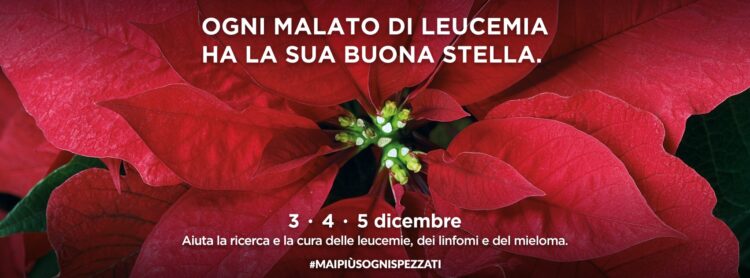 Siena: Le stelle di Natale dell’Ail tornano a colorare le&nbsp;piazze