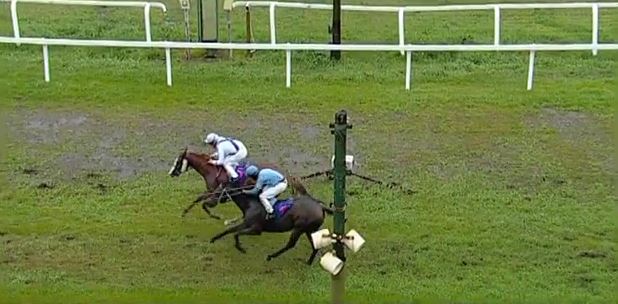 Ippica, Livorno: Oggi 04/12 Corse A. A., Alba Solare Vince la&nbsp;1^