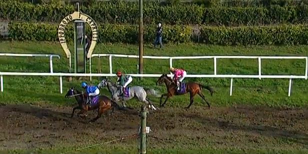 Ippica, Livorno: Oggi 29/12 Corse A. A., Bonmarchè Vince la 3^, la 76^Coppa del Mare a Pinky&nbsp;Guy