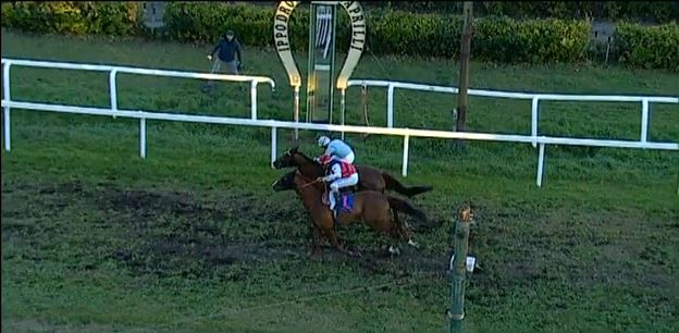 Ippica, Livorno e Roma: Oggi 24/12 Risultati Odierni Convegni di&nbsp;Corse