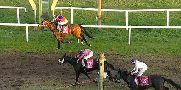 Ippica, Livorno: Oggi 05/01 Risultati Odierno Convegno di&nbsp;Corse