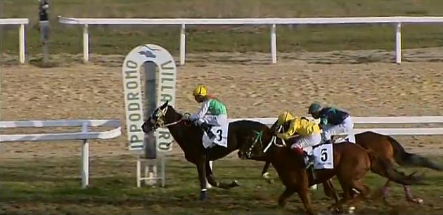 Ippica, Villacidro: Oggi 27/10 Risultati Odierno Convegno di&nbsp;Corse