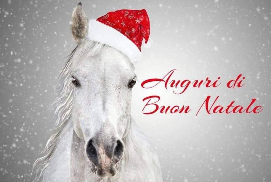 Massi Lo Sà: Faccio a tutti voi i miei più sentiti auguri di Buon&nbsp;Natale!!