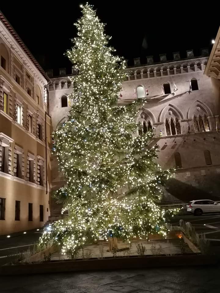 Siena: Oggi 01/12 illuminato l’albero di Natale di Piazza&nbsp;Salimbeni