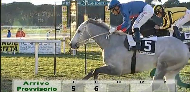 Ippica, Napoli e Pisa: Oggi 16/01 Risultati Odierni Convegni di&nbsp;Corse