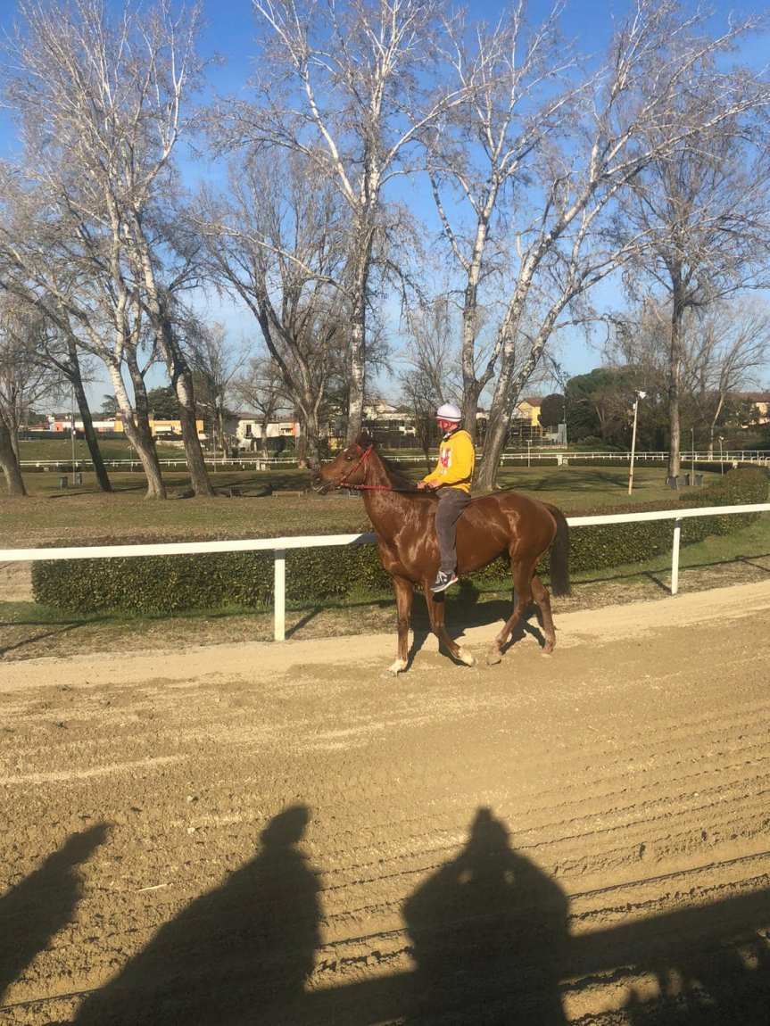 Palio di Fucecchio, Buca del Palio: Al via la stagione&nbsp;2022