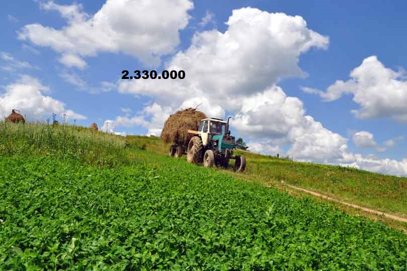 Massi Lo Sà, nuovo record del Blog: Raggiunta quota 2.330.000&nbsp;visite