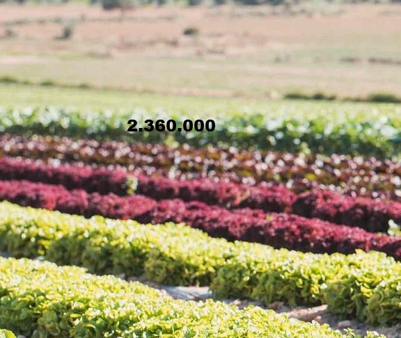 Massi Lo Sà, nuovo record del Blog: Raggiunta quota 2.360.000&nbsp;visite