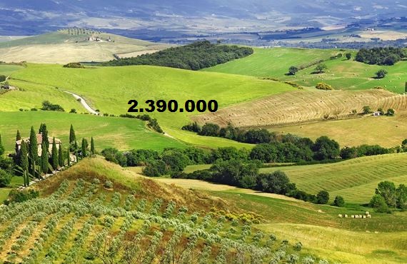 Massi Lo Sa: Nuovo Record del Blog, raggiunta quota&nbsp;2.390.000