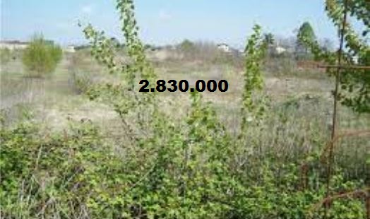 Massi Lo SMassi Lo Sa, Nuovo Record del Blog: Raggiunta quota 2.830.000&nbsp;visite