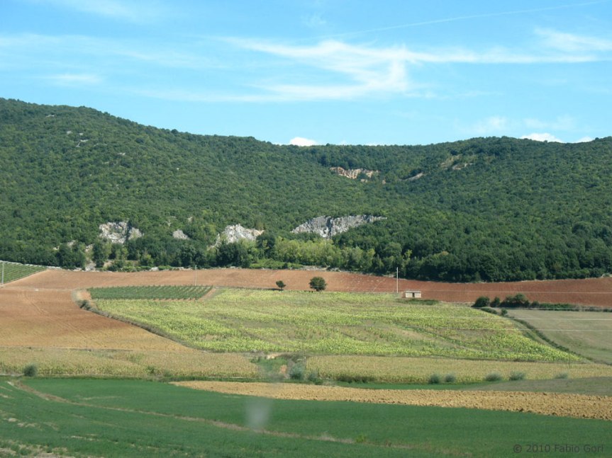 Toscana, Nuovi interventi sul patrimonio forestale: Un milione e centomila euro dalla Regione