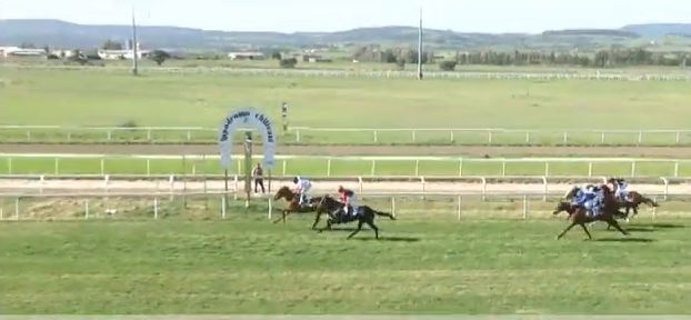 Ippica, Chilivani: Oggi 08/04 Corse A.A., Danubio Blu Vince la 2^, Dimonu Vince la 4^ e Bencammina Vince la&nbsp;5^