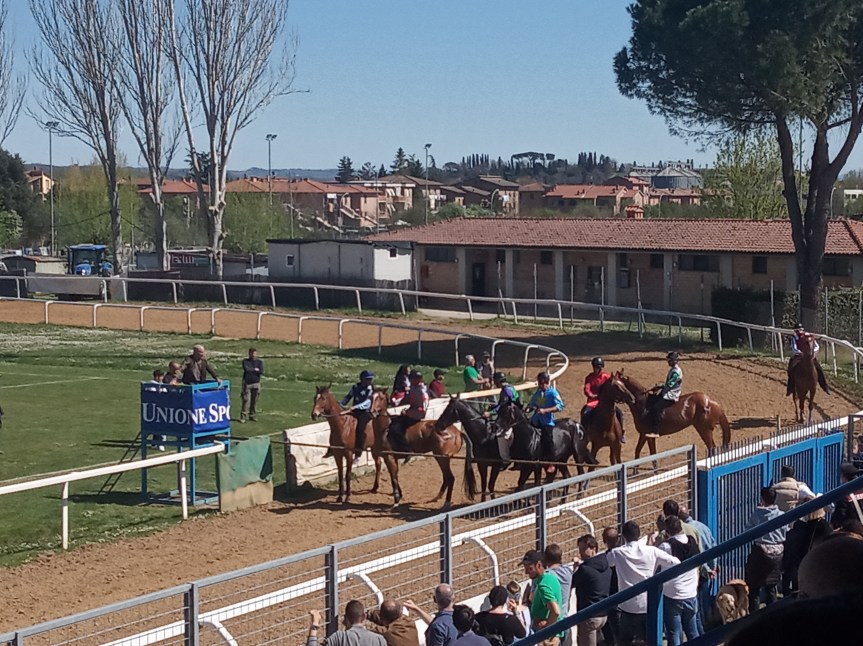 Provincia di Siena: Tale e Quale e Schietta subito in pista, saranno alle corse a Monteroni&nbsp;d’Arbia