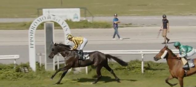 Ippica, Firenze: Oggi 12/05 Corse A.A., Bolliri Vince la&nbsp;2^