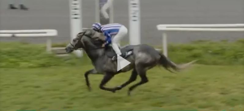 Ippica, Firenze: Oggi 05/05 Corse A.A. Beniamino Vince la&nbsp;5^