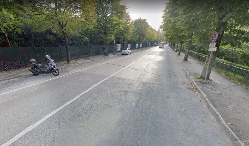 Siena: Tiglio in viale dei Mille, intervento di recupero del&nbsp;Comune