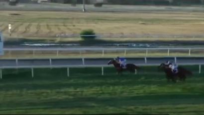 Ippica, Chilivani: Oggi 12/06 Corse A.A., De Tzaramonte Vince la 4^, Dillirianas Vince la&nbsp;6^