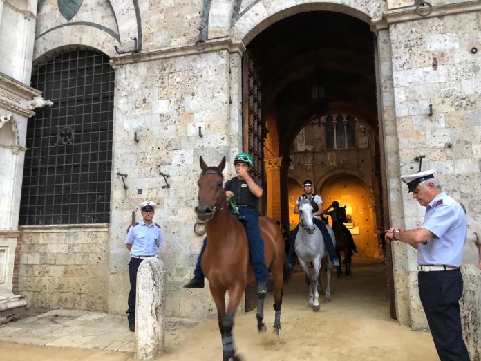 Palio di Siena: I cavalli tornano sul tufo per le prove di&nbsp;notte