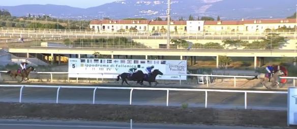 Ippica, Follonica, Merano e Varese: Oggi 20/08 Risultati Odierni Convegni di&nbsp;Corse