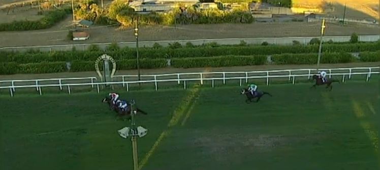 Ippica, , Livorn, Merano e Tagliacozzo: Oggi 07/08 Risultati Odierni Convegni di&nbsp;Corse