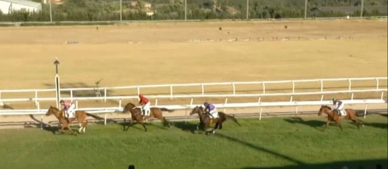 Ippica, Sassari e Varese: Oggi 06/08 Risultati Odierni Convegni di&nbsp;Corse