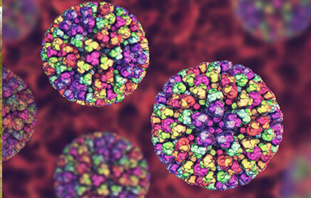 Toscana, Blue tongue: Contributi agli allevatori che forniscono capi&nbsp;“sentinella”