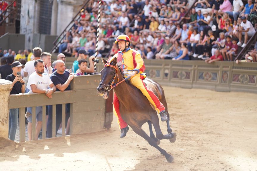 Palio di Siena: Sono buone le condizioni di Zentile, il cavallo della Chiocciola infortunatosi ieri&nbsp;02/07