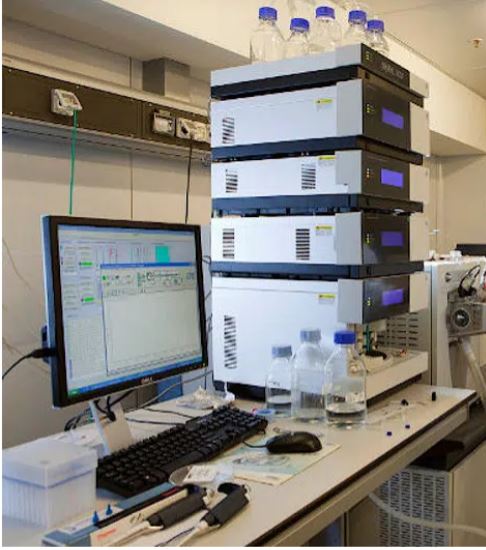 Siena, Biotecnopolo, delineate le nomine: Il Nobel Parisi nel Consiglio e Rappuoli direttore&nbsp;scientifico