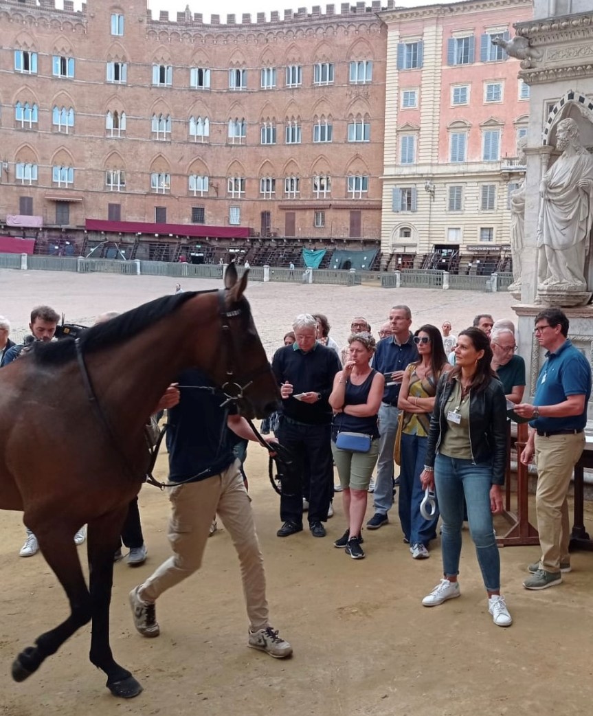 Palio di Siena: L’impegno dei veterinari dell’Ausl per la&nbsp;carriera