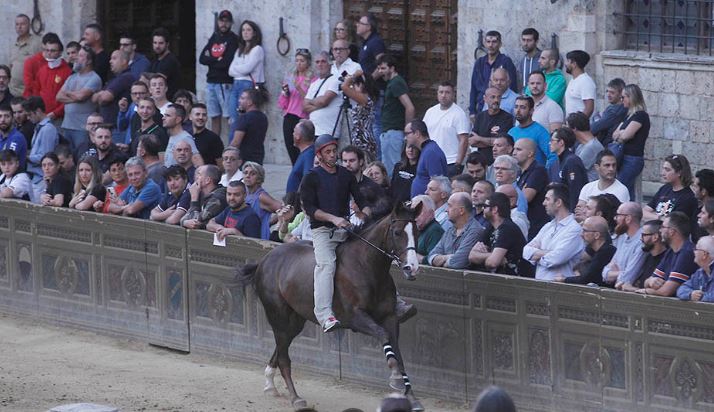 Palio di Siena: La fotogallery delle Prove Regolamentate di oggi&nbsp;11/08