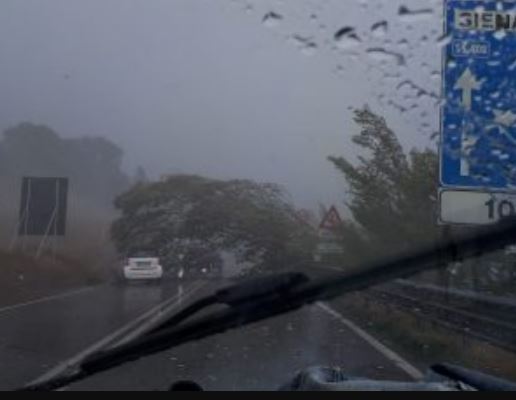 Siena,  Maltempo, pioggia e vento: Albero abbattuto blocca la&nbsp;superstrada