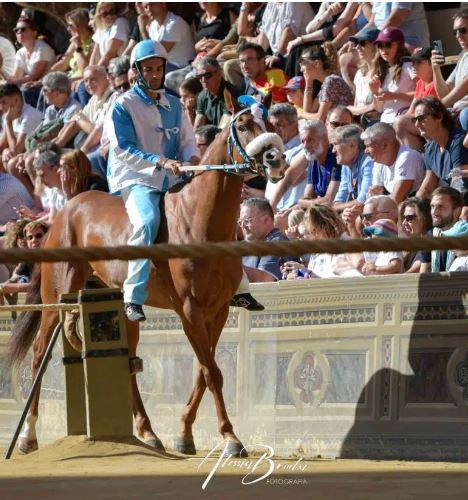 Palio di Siena: Tabacco sta bene e torna a&nbsp;casa