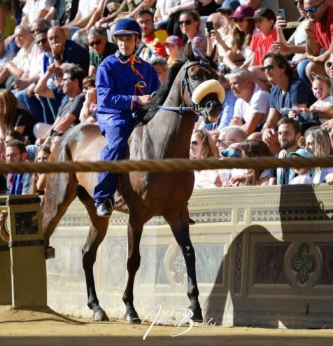 Palio di Siena, Bellocchio: “Zio Frac è un cavallo che può stare in ogni&nbsp;lotto”