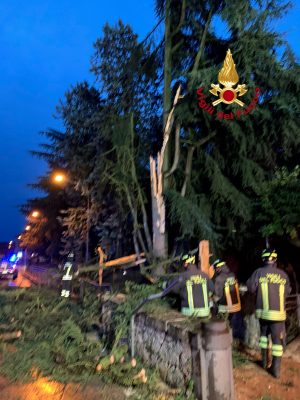 Provincia di Siena, Maltempo: Rami di un grande albero cadono nel cortile della scuola a Sarteano