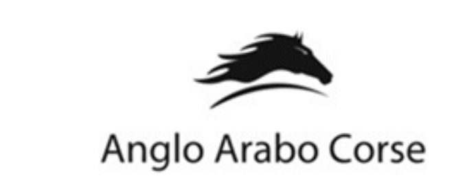 Siena, Associazione Angloarabo Corse: aperti i&nbsp;tesseramenti