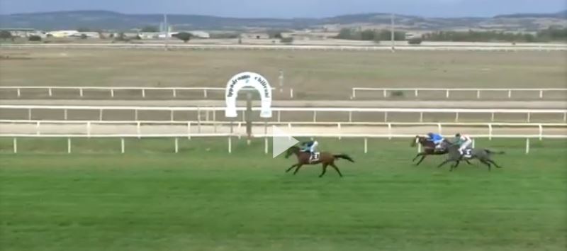 Ippica, Chilivani: Oggi 24/09 Corse A.A., Demoniu Fio Vincel a 3^, Beautiful Star ha vinto la 4^, Dark Mary Vince la&nbsp;5^