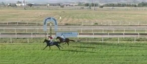 Ippica, Chilivani, Merano, Milano e Siracusa: Oggi 24/09 Risultati Odierni Convegni di&nbsp;Corse