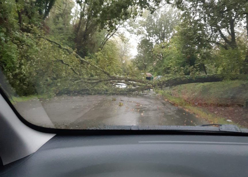 Siena: Maltempo, a Montalbuccio albero caduto sulla&nbsp;strada